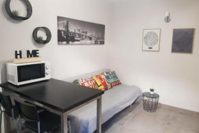 Renovated studio in the heart of Avignon